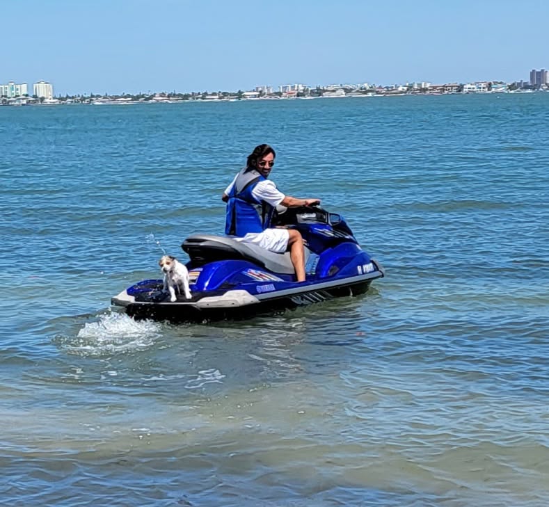 A small dog riding on a jet ski on Tampa Bay